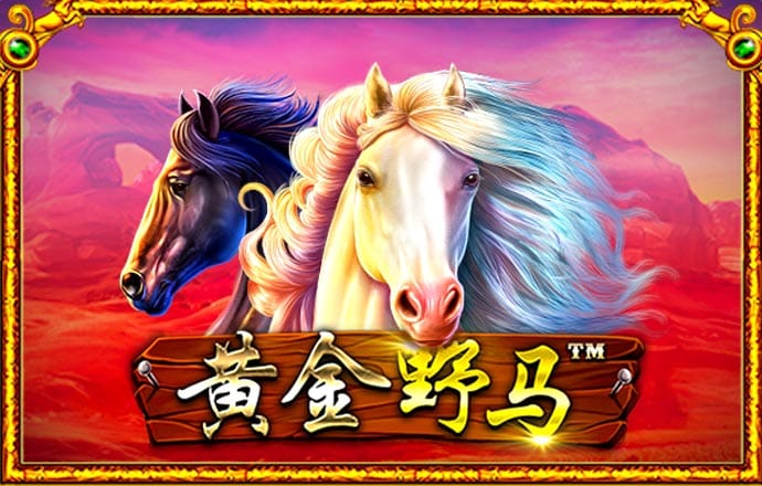 246天天彩二四六天天彩
