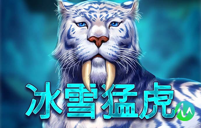 港澳11133